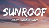 Nicky Youre, dazy – Sunroof (Lyrics)