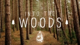 Into The Woods 🌲 – A Mysterious Indie/Folk/Pop Playlist | Vol. 2