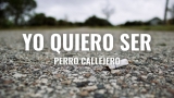 Perro Callejero – Yo Quiero Ser (Letra Oficial)