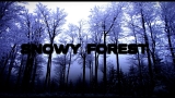 SNOWY FOREST #meme #music #popular #phonk #Funk #Ronaldo