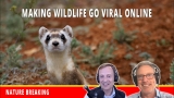 Ze Frank on the Science and Voice Behind True Facts