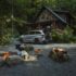 Warming Spring Weather Will Bring Sunshine and Swarms