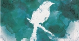 Anky’s Book Bubble: Review: Voice of the Soul