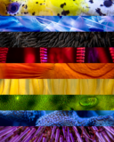 Monterey Bay Aquarium — This Pride Month, we’re celebrating the beauty of…