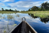 On the Water in Botswana: Mokoro and Motorboat Excursions