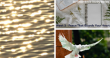 Summer Bible Study Series Week 3