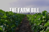 Senate Farm Bill Advances With E15 Provision, Proposition 12 Dispute Unresolved Senate Farm Bill Advances With E15 Provision
