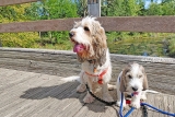 Photo Practice for Henry By Minnehaha Creek