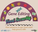 Gene Editing For Food Security