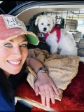 What Taking a Solo Road Trip Taught Me About Healing