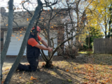 Structural Pruning For Young Trees