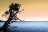 5 Of The Best Sunshine Coast Secret Spots