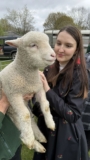 How Smart Event Marketing Grew a Community Easter Event from 45 to 350 Attendees
