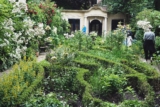 Open Garden Days Amsterdam: Behind the Canal Houses, a Hidden Green World | Amsterdamian
