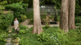 House & Home – How To Get Your Garden Ready For Spring