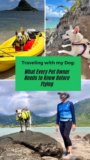 Are You Ready to Travel with Your Dog: What Every Pet Owner Needs to Know Before Flying
