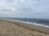 April 16th, 2022 – Finding Beauty in Life