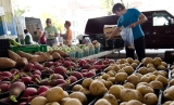 Has the Farm Bill Hit a Dead End? Some Issues Seem Insurmountable