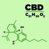 CBD Oil: A Daily Wellness Essential – Not a Quick Fix