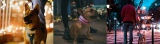 Tips to Safely Walk Your Dog at Night