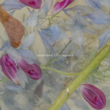 isolatedmix 135 – Aspetuck — A STRANGELY ISOLATED PLACE