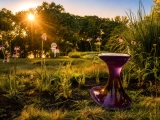 Paula Hayes’s First Public Garden Is 36 Minutes From Grand Central
