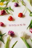 April Wrap Up – Down the Rabbit Hole