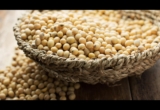 EU launches plan to produce more plant-based proteins