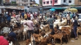 Varanasi Goat Market Sealed Before Bakrid, Traders Protest Closure