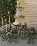 Feeding My Enthusiasms: Landon’s Wedding