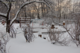 Garden and Landscape Design Ideas for Seasonal Beauty